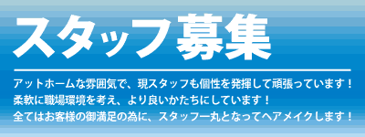 staff募集